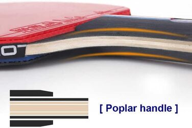 Набір для настільного тенісу LOKI з сіткою та м'ячами 3 зірки - Преміум ракетки з ITTF-сертифікацією - Розсувна сітка - Сумка для перенесення