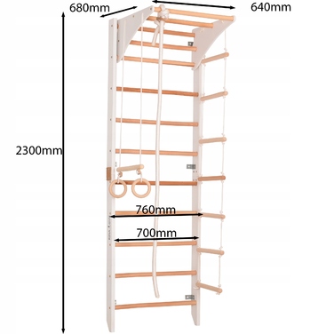 Тренувальна драбинка Rinagym, 230 см x 76 см