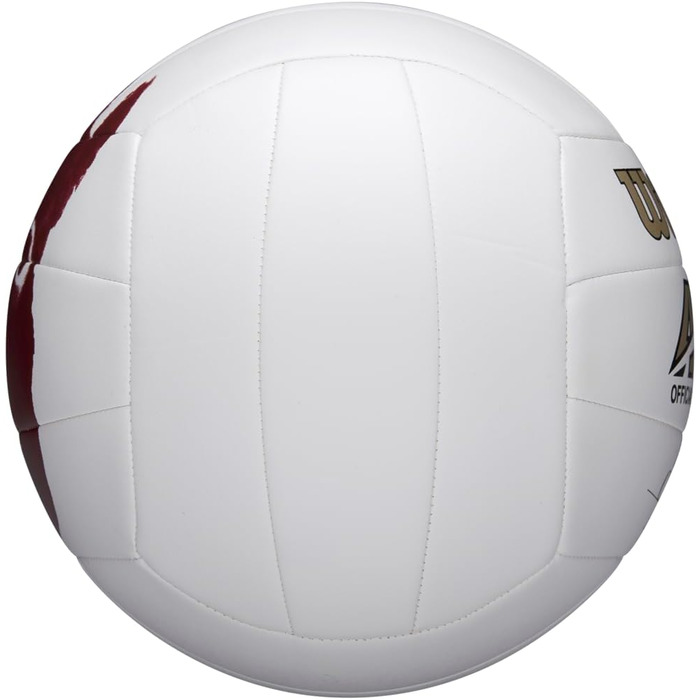 Волейбольний м'яч Wilson MR Castaway офіційний, білий