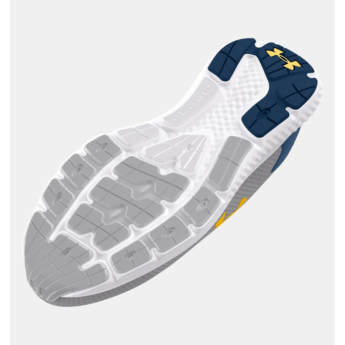 Чоловічі бігові кросівки Under Armour Charged Rogue 3 (44.5 EU, сірий)